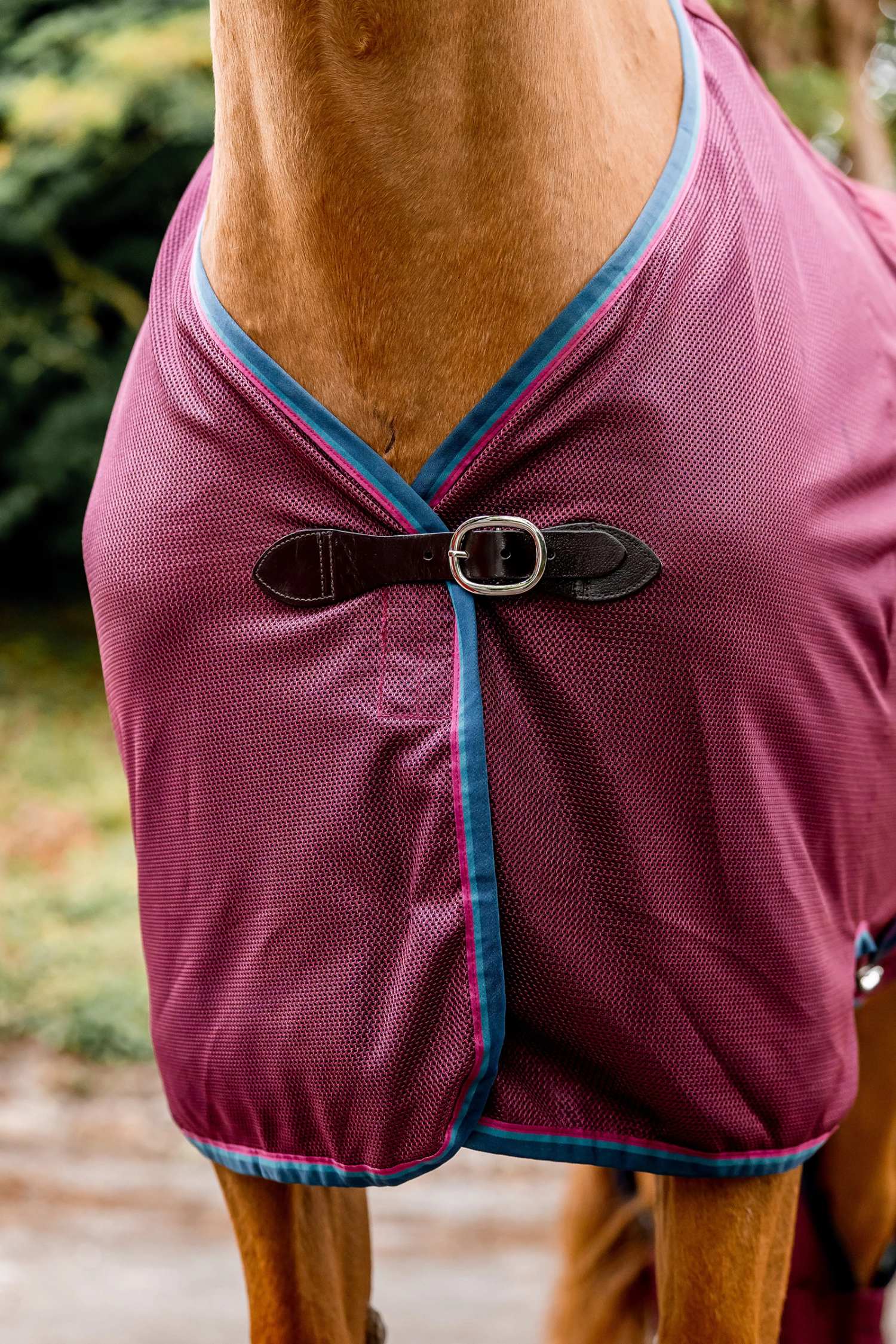 Horseware Rambo Travel Series Transportdecke, 50g 10 Horseware Rambo Travel Series Transportdecke, 50g – Bild 8