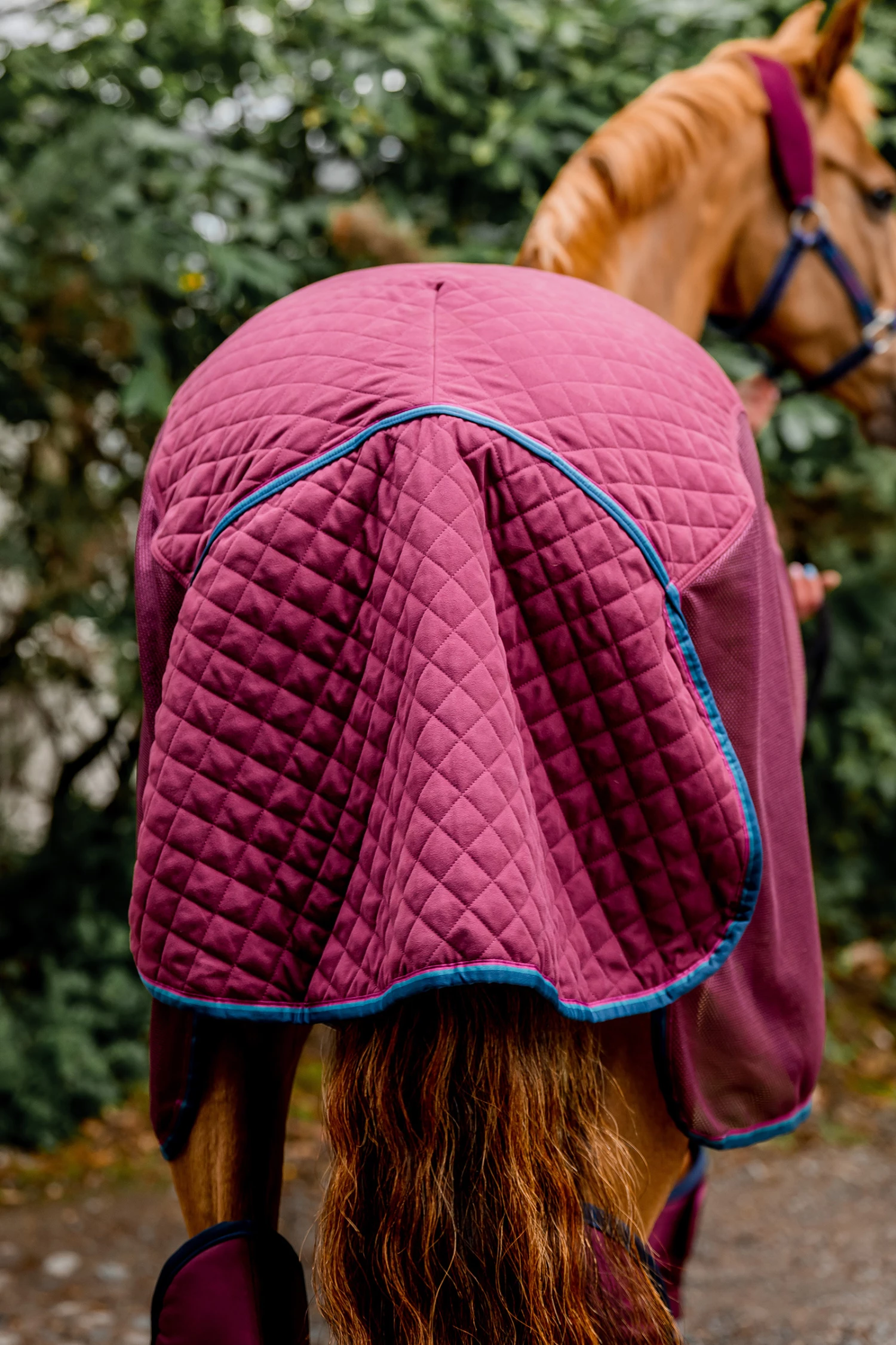 Horseware Rambo Travel Series Transportdecke, 50g 11 Horseware Rambo Travel Series Transportdecke, 50g – Bild 9