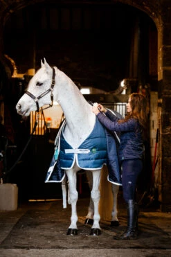 Horseware AmEco Liner, 100g -Weatherbeeta Shop 340947 TE G 3