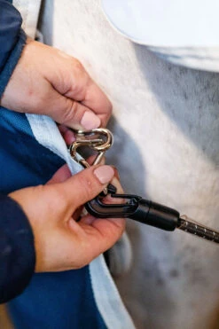 Horseware AmEco Liner, 100g -Weatherbeeta Shop 340947 TE G 7