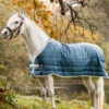 Horseware Eco Liner, 300g -Weatherbeeta Shop 340949 TE G 1