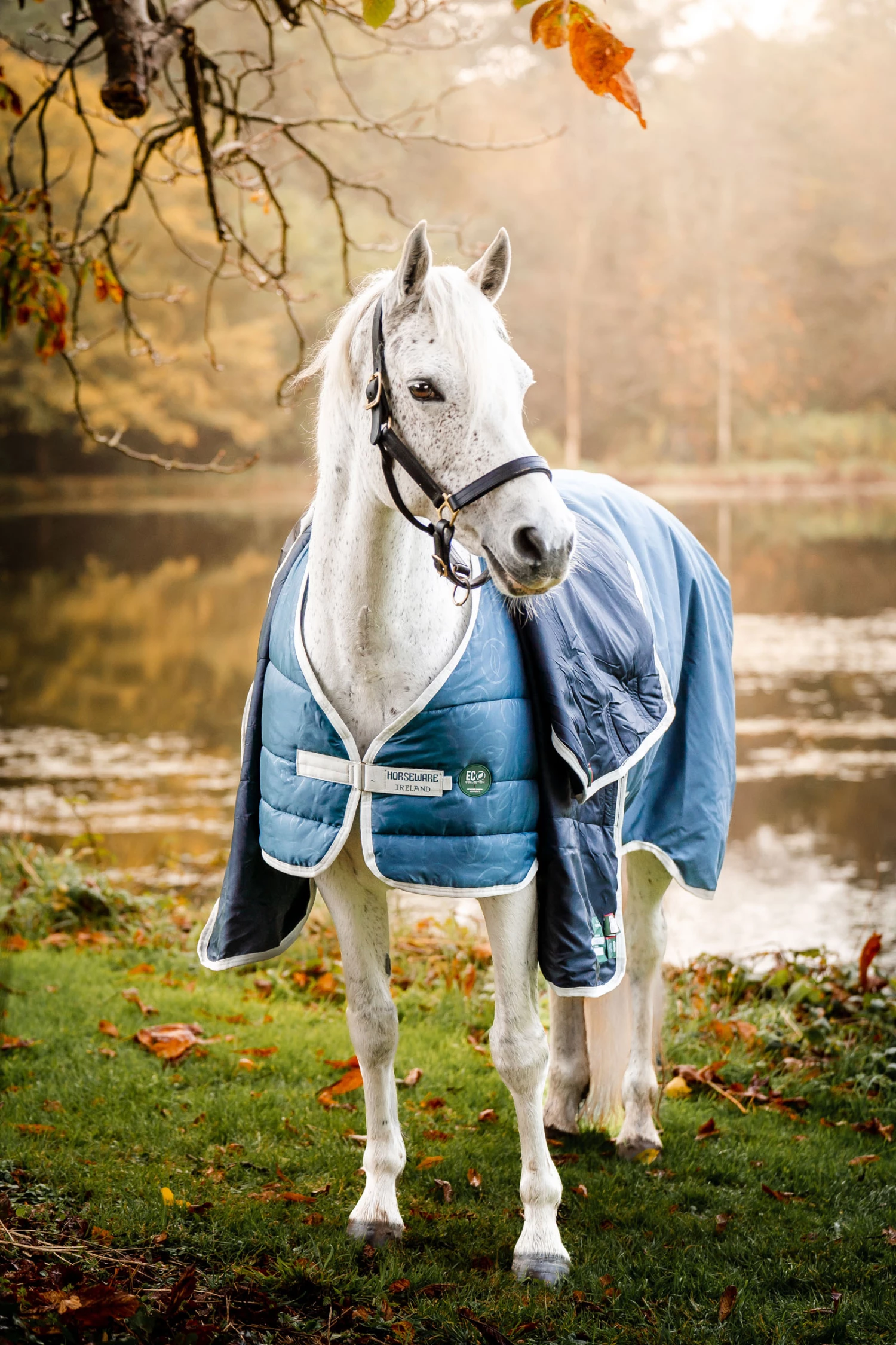 Horseware Eco Liner, 300g 4 Horseware Eco Liner, 300g – Bild 2