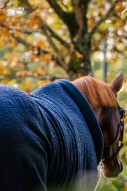 Horseware Embossed Cosy Neck Abschwitzdecke 15 Horseware Embossed Cosy Neck Abschwitzdecke -Weatherbeeta Shop 340951 DB BU 7