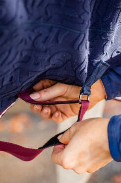 Horseware Embossed Jersey Abschwitzdecke 16 Horseware Embossed Jersey Abschwitzdecke -Weatherbeeta Shop 340952 DB BU 6