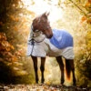 Horseware Rambo Autumn Series 2 Horseware Rambo Autumn Series -Weatherbeeta Shop 340954 DB G 1