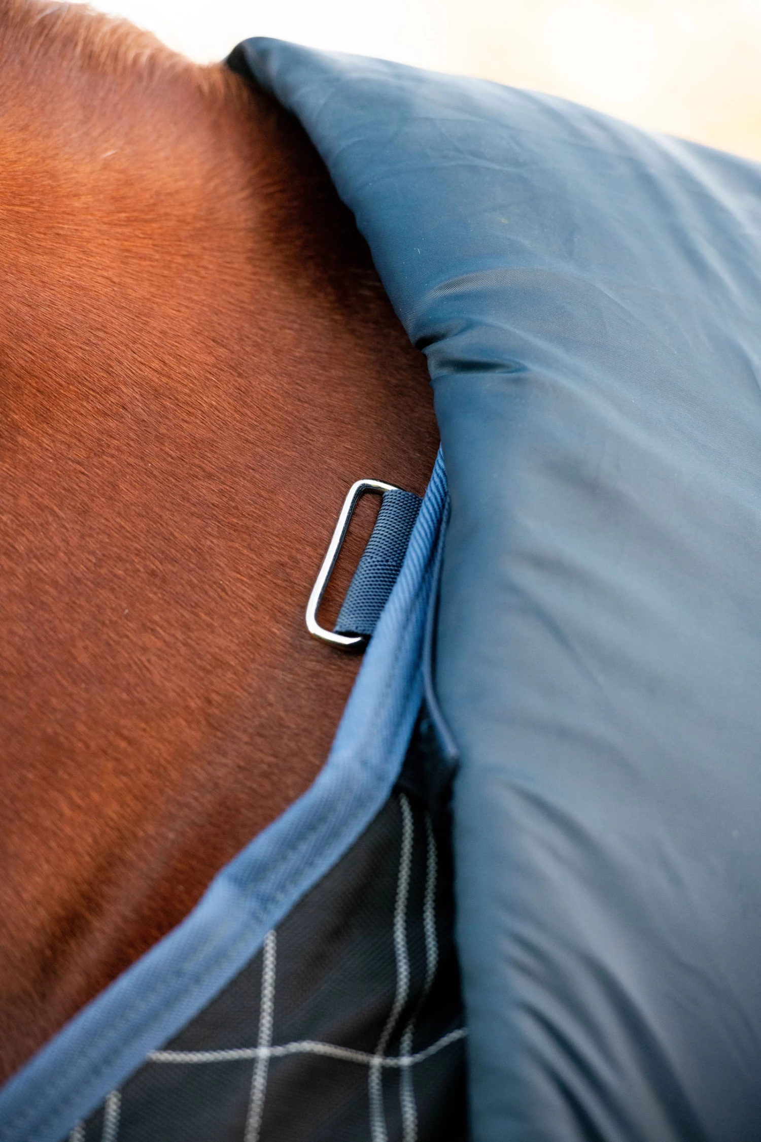 Horseware Rhino Reflectech Plus Vari-Layer Weidedecke Inkl. Abnehmbarem Halsteil, 250g 6 Horseware Rhino Reflectech Plus Vari-Layer Weidedecke Inkl. Abnehmbarem Halsteil, 250g – Bild 4