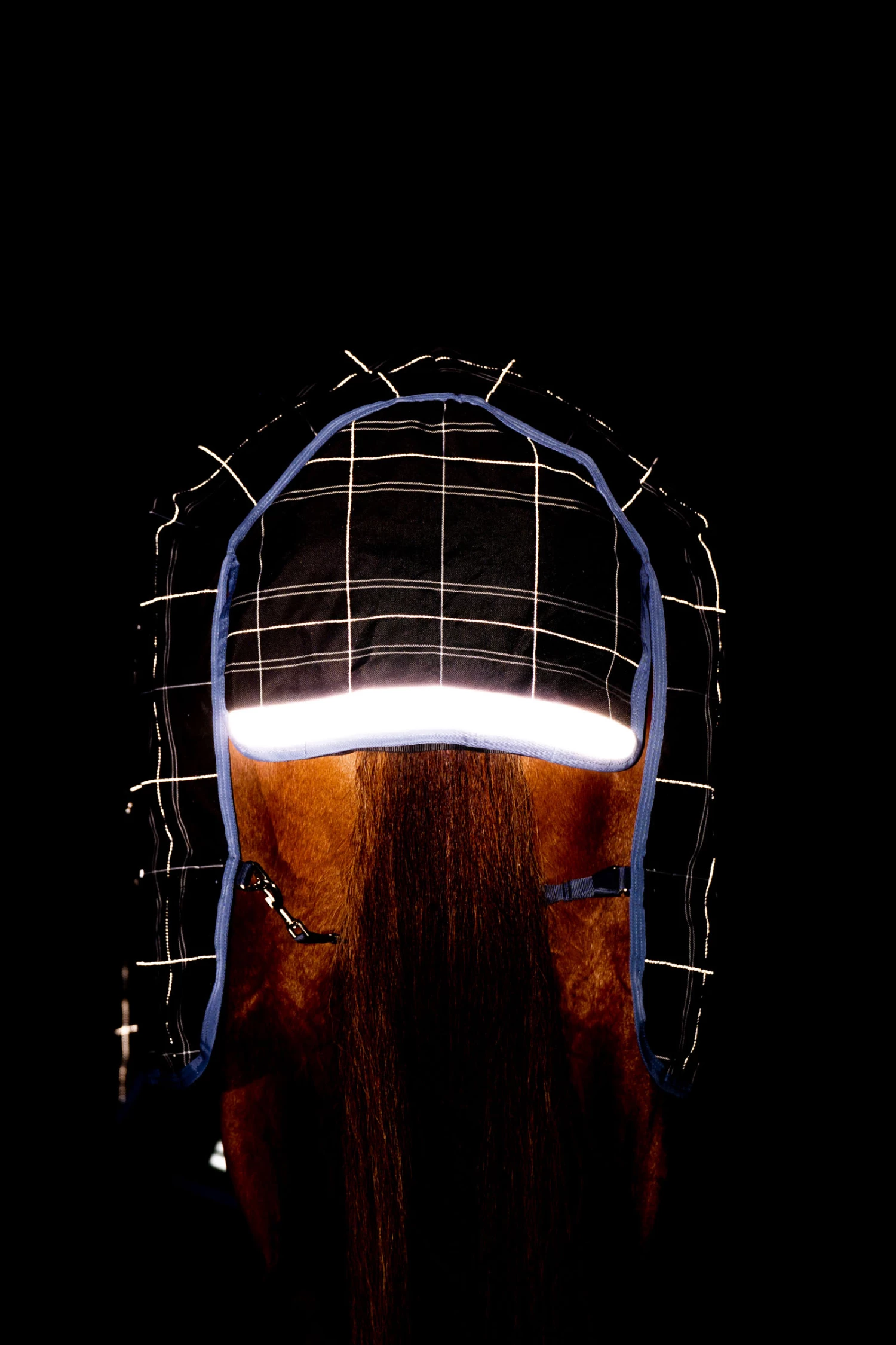 Horseware Rhino Reflectech Plus Vari-Layer Weidedecke Inkl. Abnehmbarem Halsteil, 250g 11 Horseware Rhino Reflectech Plus Vari-Layer Weidedecke Inkl. Abnehmbarem Halsteil, 250g – Bild 9