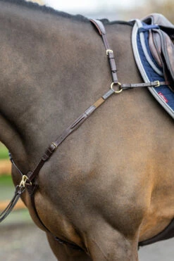 LeMieux Vorderzeug Mit Abnehmbarem Martingal 15 LeMieux Vorderzeug Mit Abnehmbarem Martingal -Weatherbeeta Shop 342208 HVBR 4