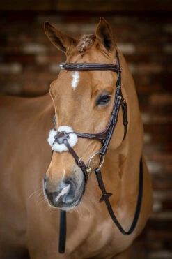 LeMieux Mexikanische Trense 13 LeMieux Mexikanische Trense -Weatherbeeta Shop 342214 HVBR 1