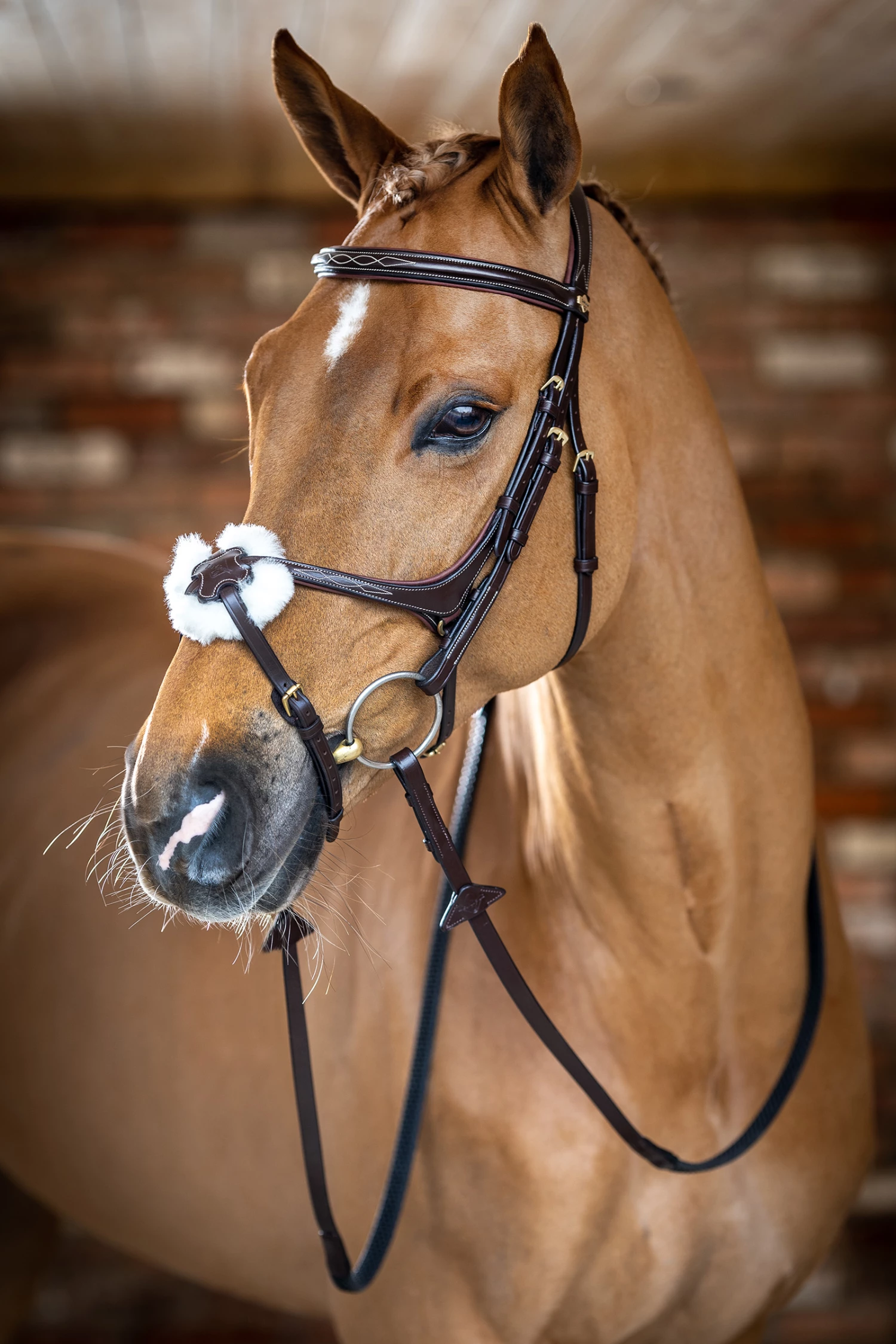 LeMieux Mexikanische Trense 7 LeMieux Mexikanische Trense – Bild 5