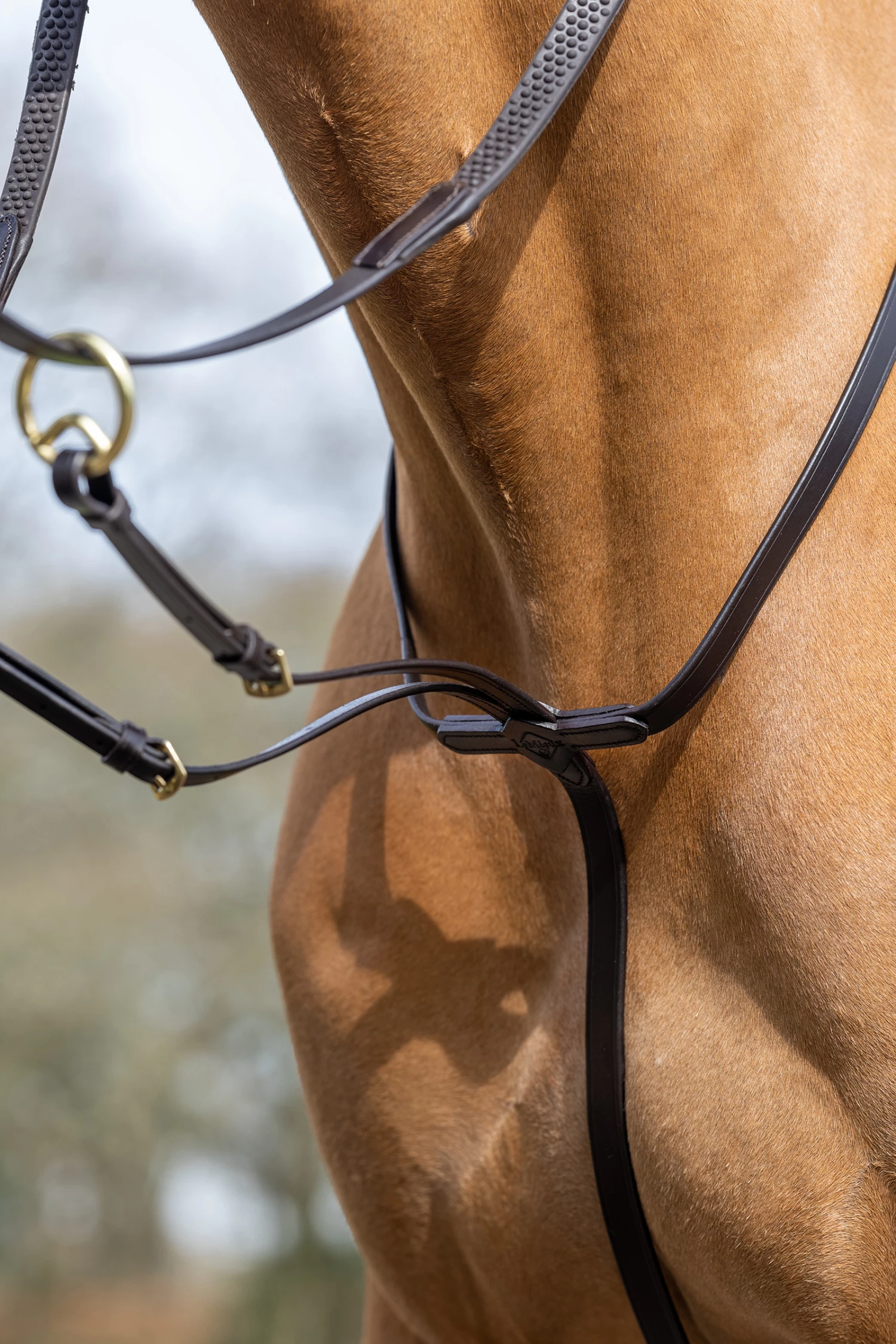 LeMieux Ringmartingal 5 LeMieux Ringmartingal – Bild 3