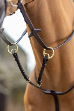 LeMieux Ringmartingal 23 LeMieux Ringmartingal -Weatherbeeta Shop 342217 HVBR 2