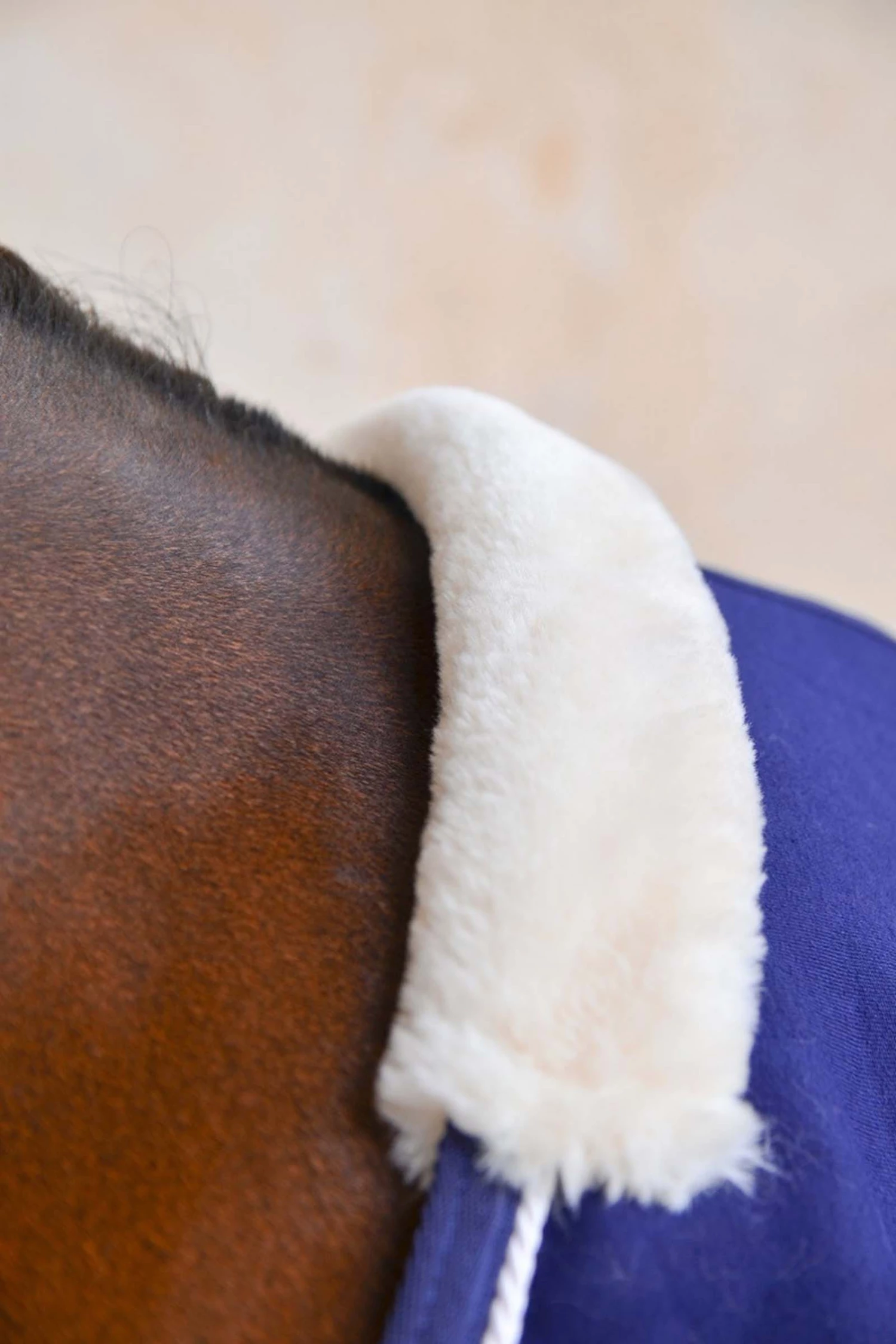 Harcour Cancale Abschwitzdecke 5 Harcour Cancale Abschwitzdecke – Bild 3