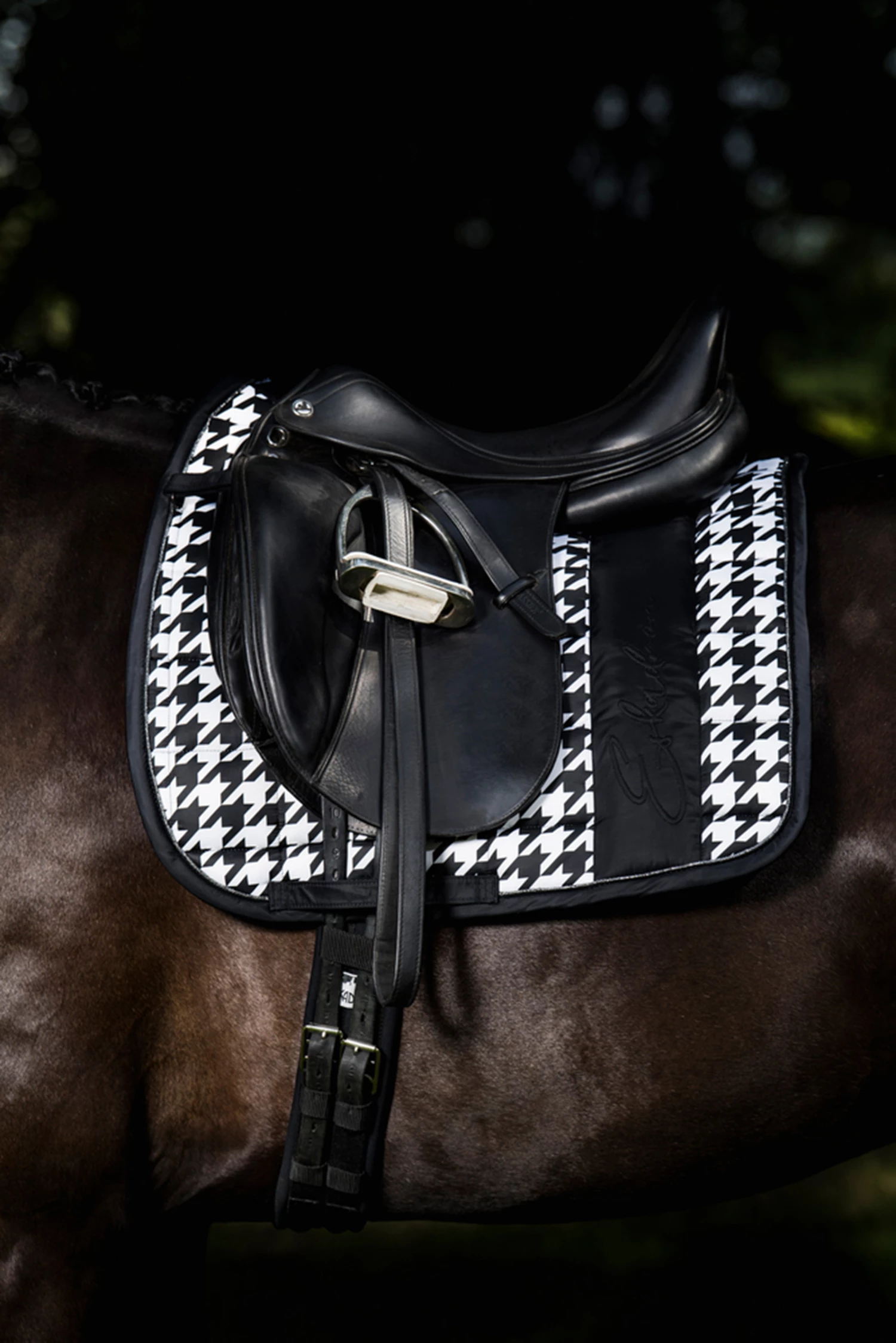 Eskadron Essence 22/23 Big Square Glossy Dressurschabracke 4 Eskadron Essence 22/23 Big Square Glossy Dressurschabracke – Bild 2