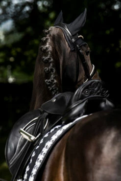 Eskadron Essence 22/23 Big Square Glossy Dressurschabracke 14 Eskadron Essence 22/23 Big Square Glossy Dressurschabracke -Weatherbeeta Shop 342542 BL WH LOGR 3