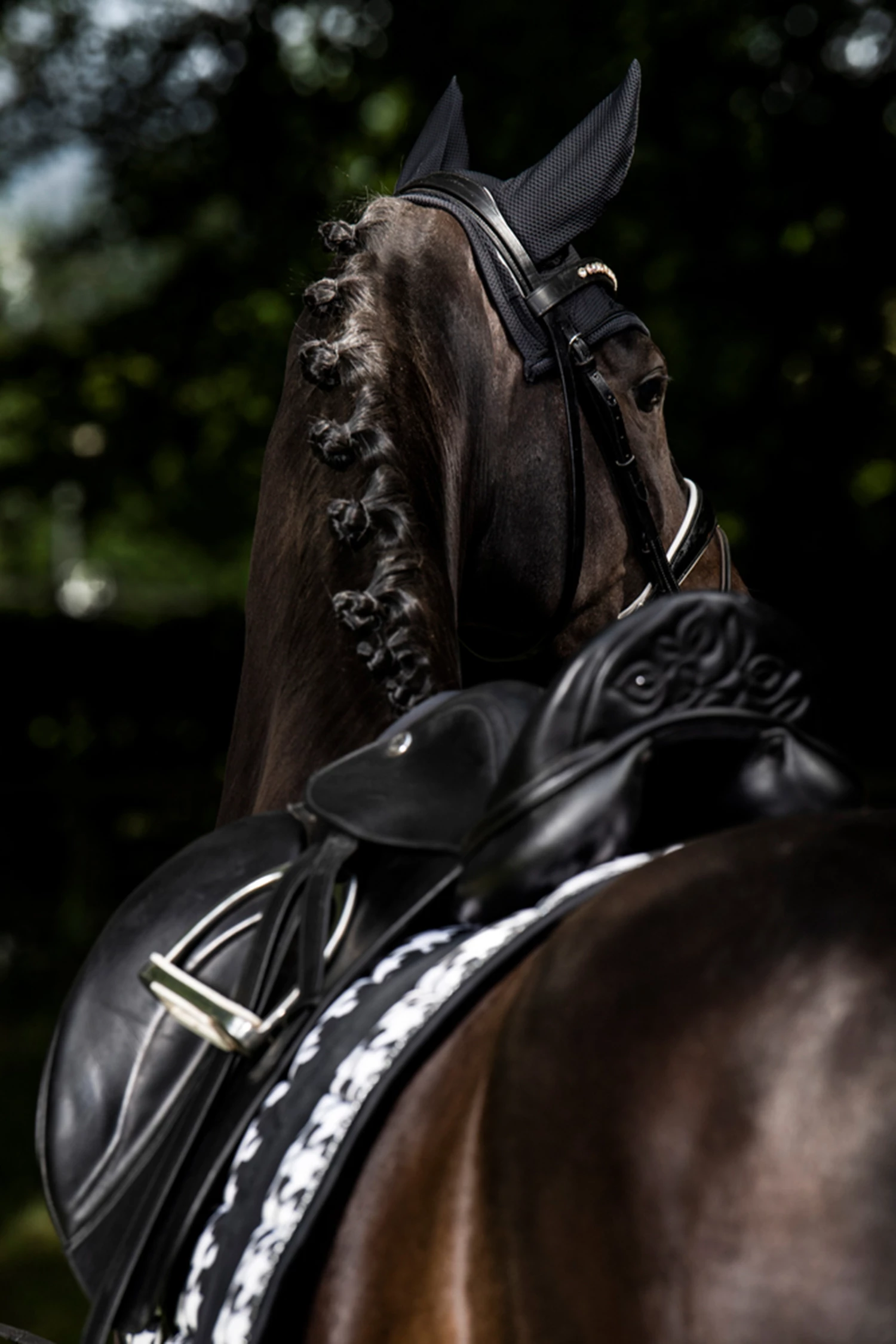 Eskadron Essence 22/23 Big Square Glossy Dressurschabracke 5 Eskadron Essence 22/23 Big Square Glossy Dressurschabracke – Bild 3