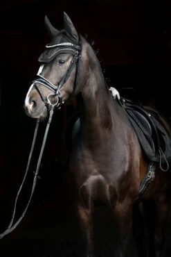 Eskadron Essence 22/23 Glitter Mesh Sport Fliegenhaube -Weatherbeeta Shop 342557 DOGR 2