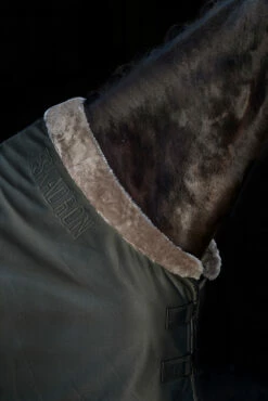 Eskadron Essence 22/23 Jersey FauxFur Abschwitzdecke 10 Eskadron Essence 22/23 Jersey FauxFur Abschwitzdecke -Weatherbeeta Shop 342563 DOGR 2