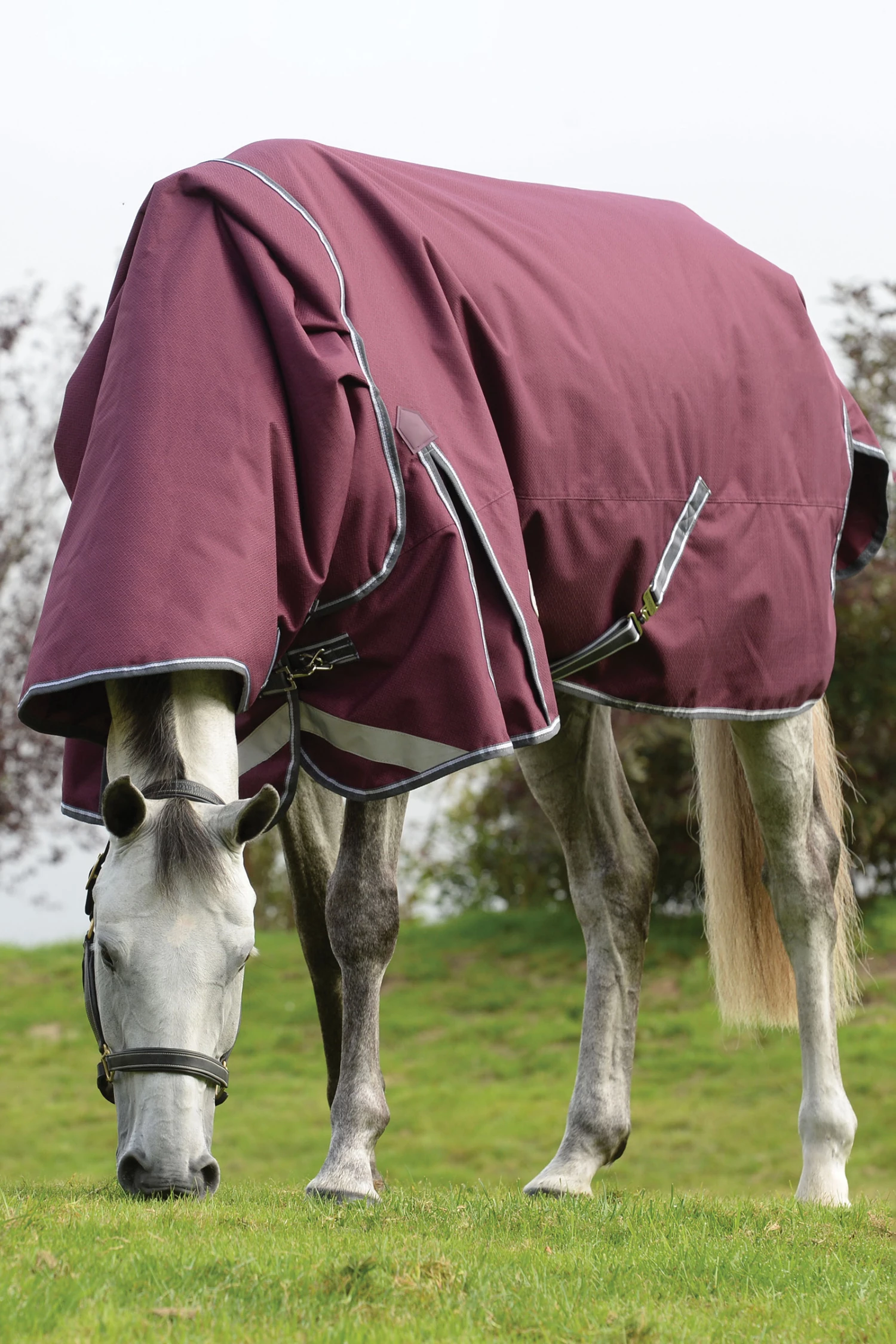 Weatherbeeta Comfitec Plus Dynamic II Detach-a-Neck Weidedecke Mit Abnehmbarem Halsteil, 360g 4 Weatherbeeta Comfitec Plus Dynamic II Detach-a-Neck Weidedecke Mit Abnehmbarem Halsteil, 360g – Bild 2