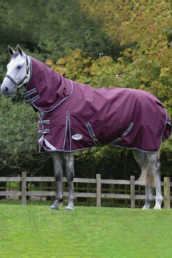 Weatherbeeta Comfitec Plus Dynamic II Detach-a-Neck Weidedecke Mit Abnehmbarem Halsteil, 360g 7 Weatherbeeta Comfitec Plus Dynamic II Detach-a-Neck Weidedecke Mit Abnehmbarem Halsteil, 360g -Weatherbeeta Shop 343119 DRE G 3