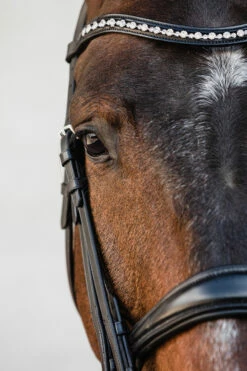 Schockemöhle Milton Anatomische Kandare 8 Schockemöhle Milton Anatomische Kandare -Weatherbeeta Shop 343547 BL SI 3