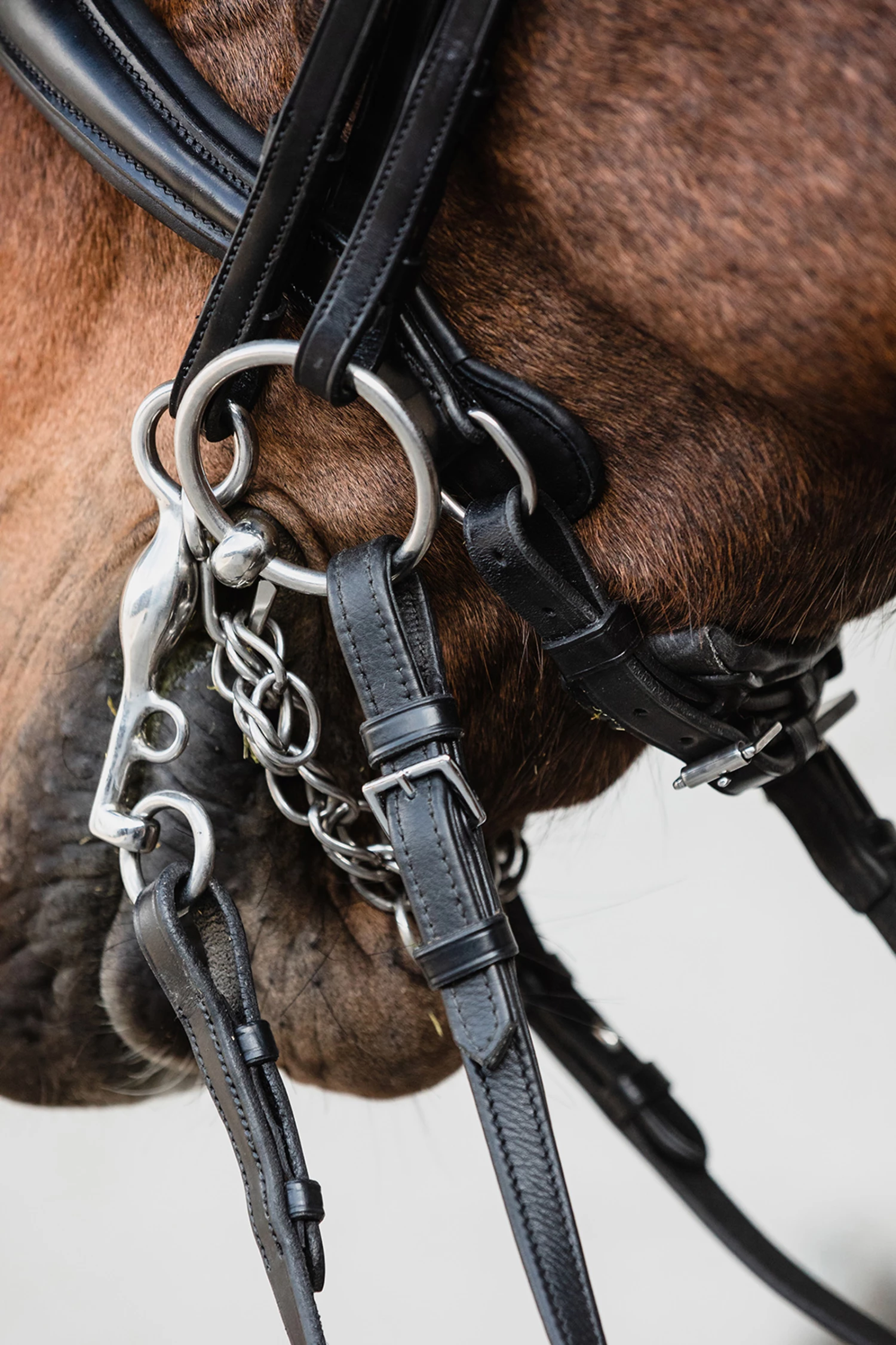 Schockemöhle Milton Anatomische Kandare 6 Schockemöhle Milton Anatomische Kandare – Bild 4