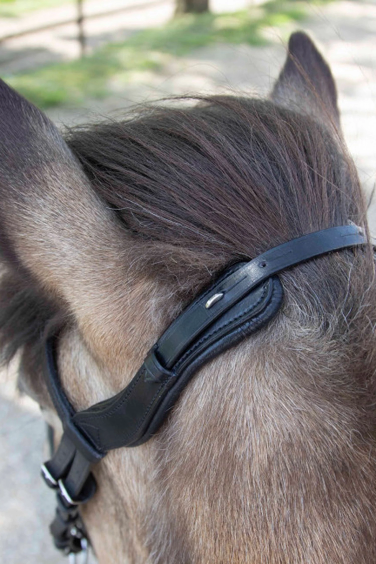 Waldhausen Anatomic Island Trensenzaum 6 Waldhausen Anatomic Island Trensenzaum – Bild 4