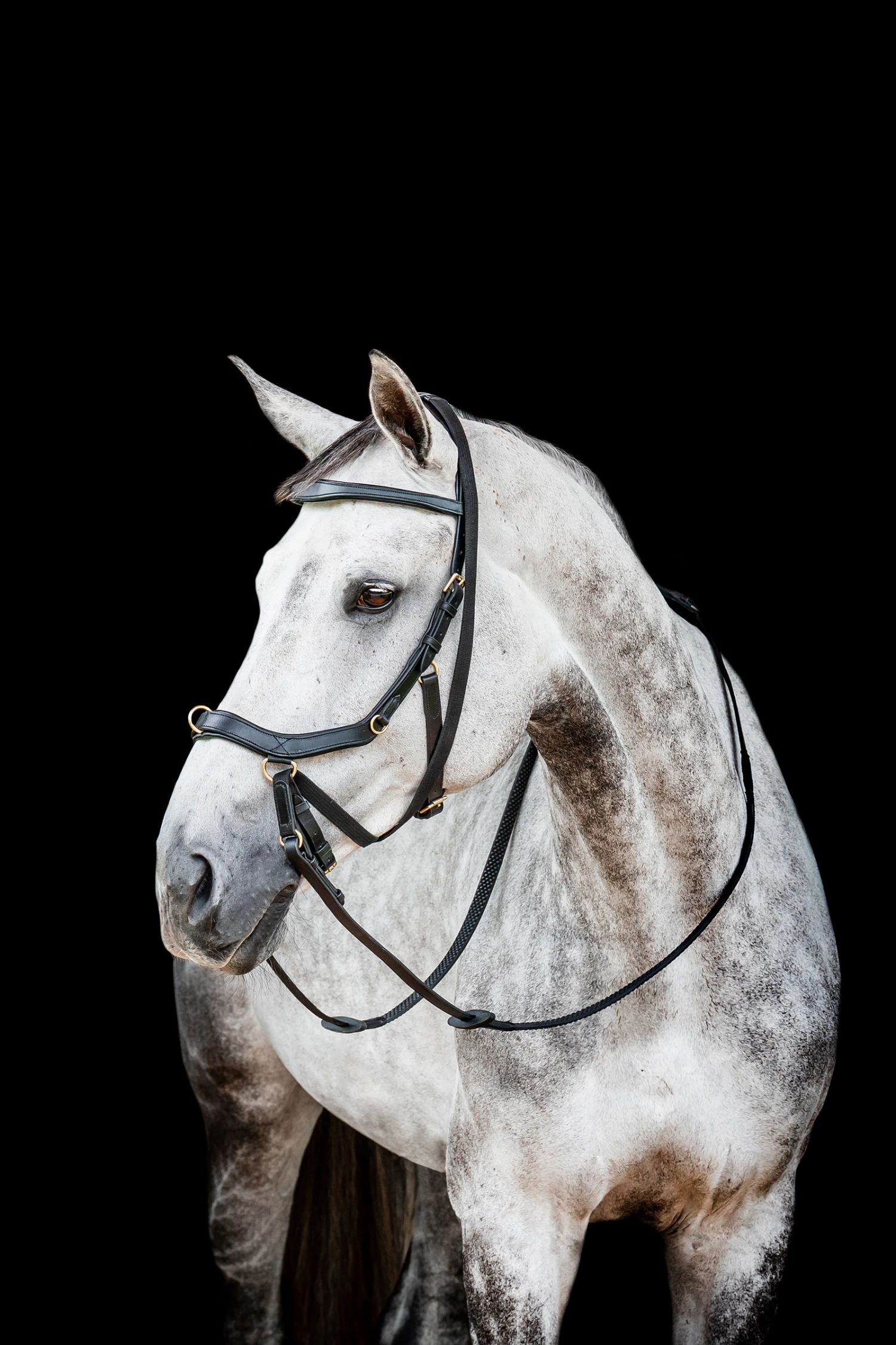 Horseware Rambo Micklem 2 Multi Trense 3 Horseware Rambo Micklem 2 Multi Trense