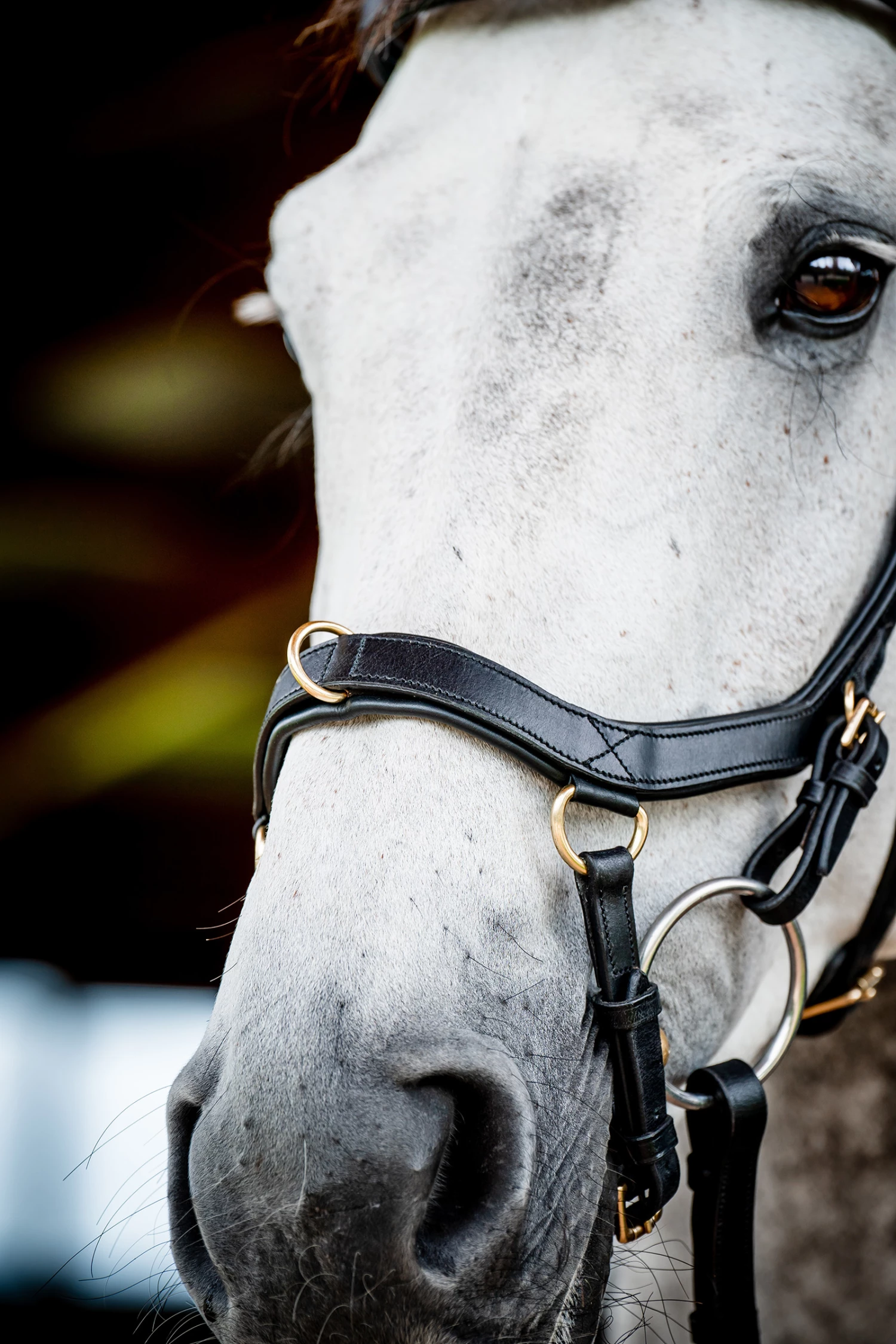 Horseware Rambo Micklem 2 Multi Trense 4 Horseware Rambo Micklem 2 Multi Trense – Bild 2