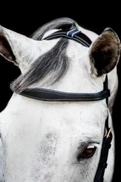 Horseware Rambo Micklem 2 Multi Trense 16 Horseware Rambo Micklem 2 Multi Trense -Weatherbeeta Shop 345014 BL 03