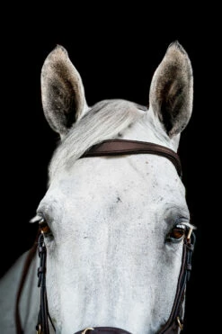 Horseware Rambo Micklem 2 Multi Trense 20 Horseware Rambo Micklem 2 Multi Trense -Weatherbeeta Shop 345014 DBR 02