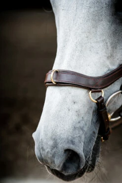 Horseware Rambo Micklem 2 Multi Trense 22 Horseware Rambo Micklem 2 Multi Trense -Weatherbeeta Shop 345014 DBR 04