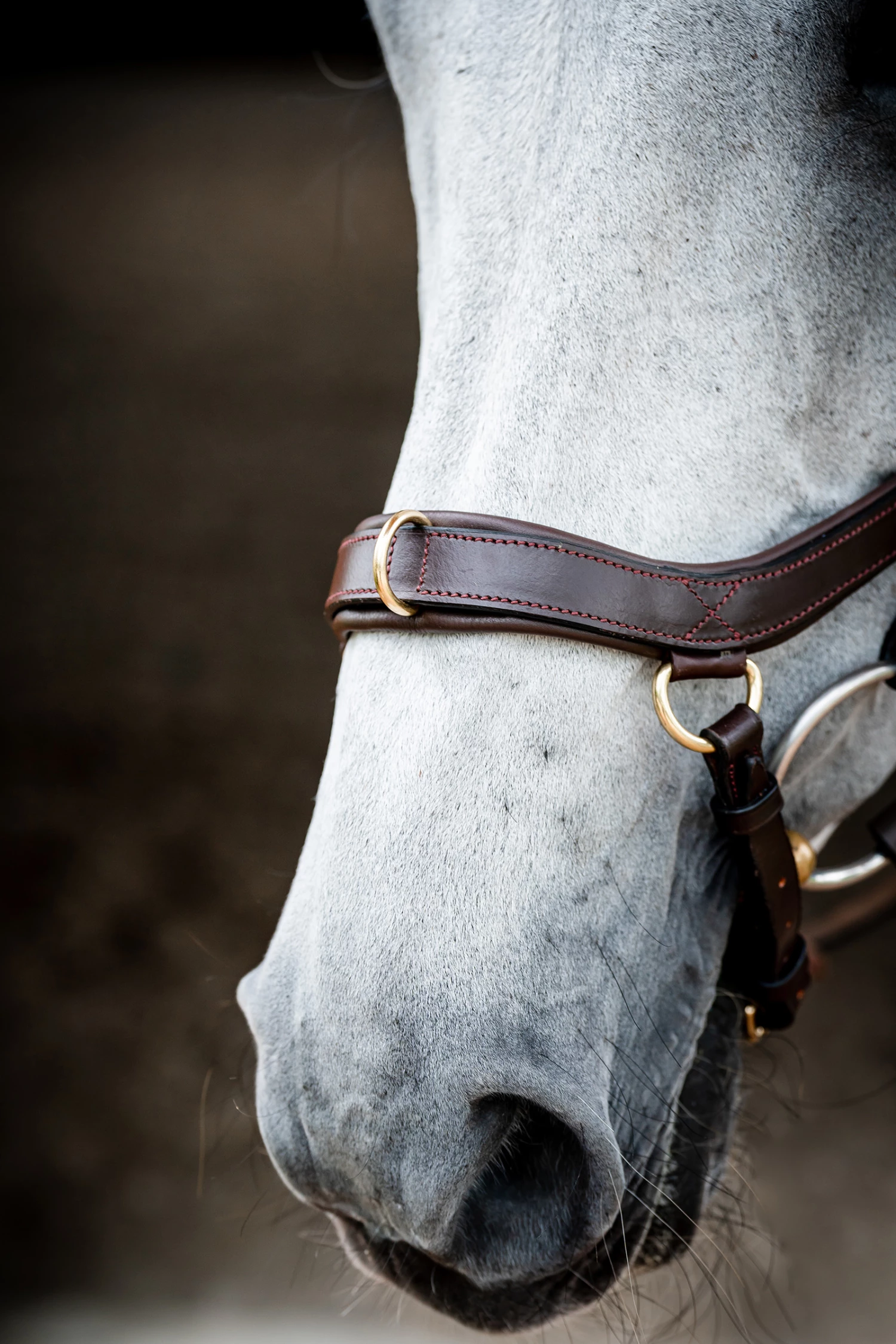 Horseware Rambo Micklem 2 Multi Trense 11 Horseware Rambo Micklem 2 Multi Trense – Bild 9