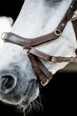 Horseware Rambo Micklem 2 Multi Trense 23 Horseware Rambo Micklem 2 Multi Trense -Weatherbeeta Shop 345014 DBR 05