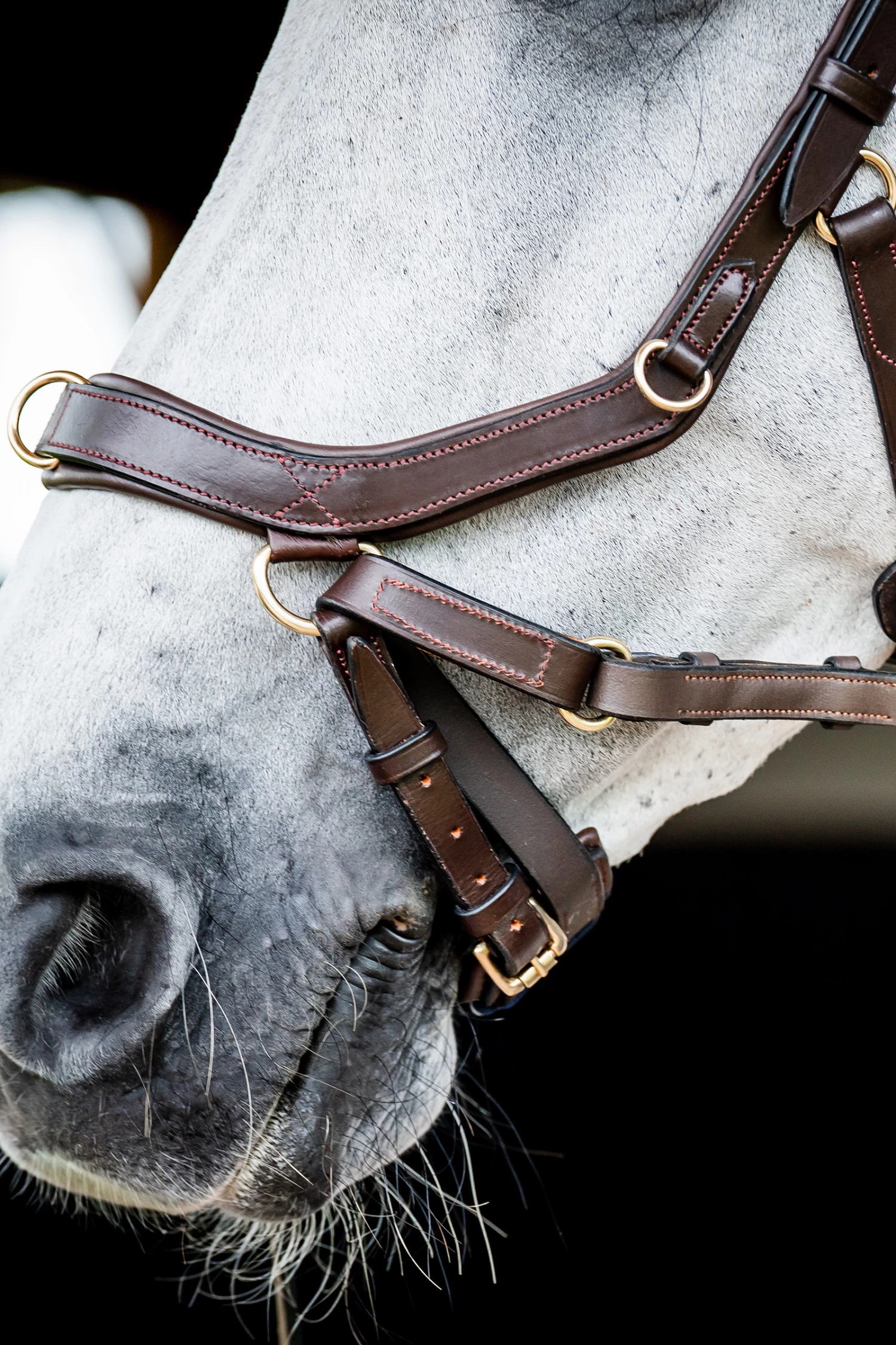 Horseware Rambo Micklem 2 Multi Trense 12 Horseware Rambo Micklem 2 Multi Trense – Bild 10