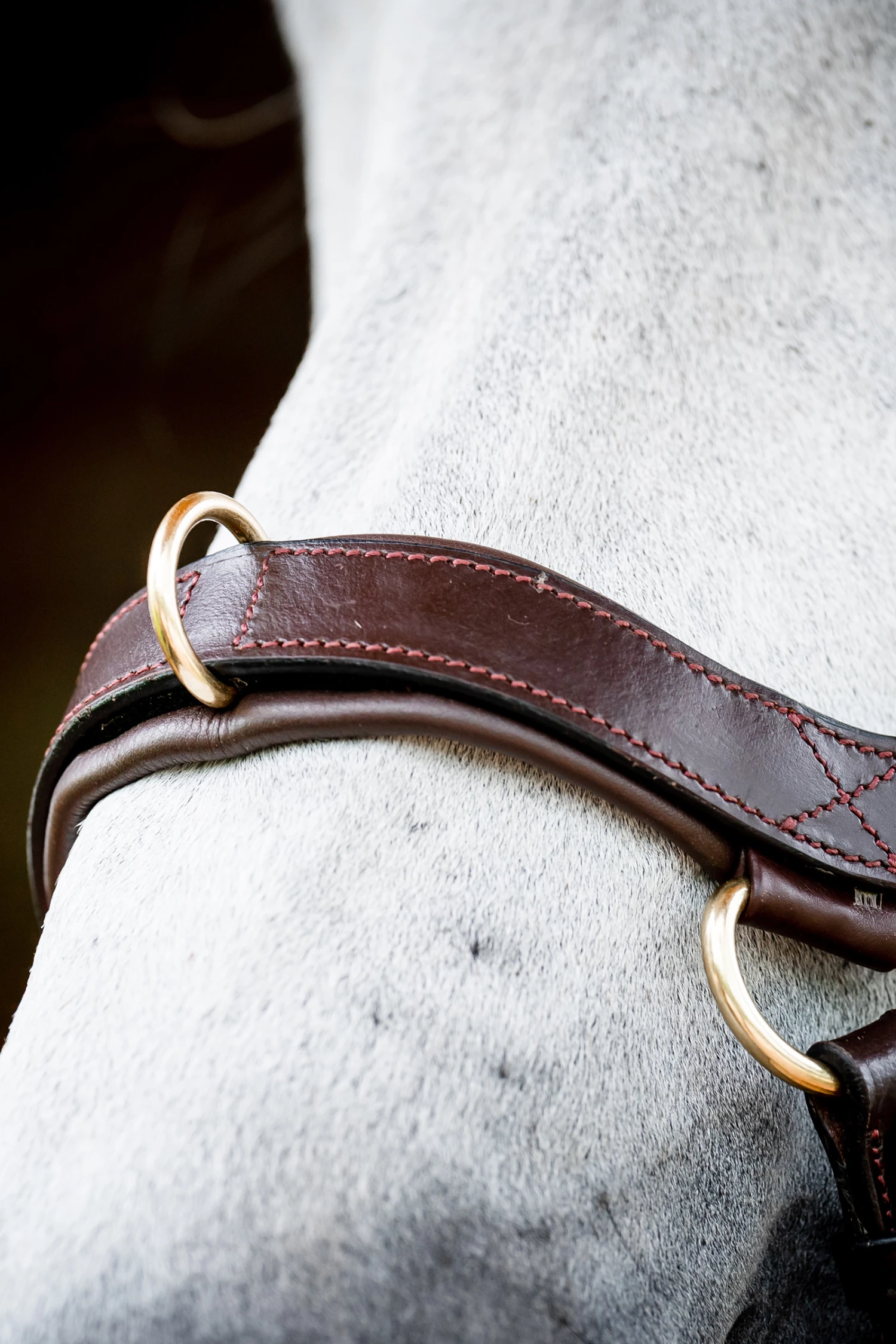 Horseware Rambo Micklem 2 Multi Trense 14 Horseware Rambo Micklem 2 Multi Trense – Bild 12