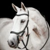 Horseware Rambo Micklem 2 Diamante Competition Trense Mit Zügeln 2 Horseware Rambo Micklem 2 Diamante Competition Trense Mit Zügeln -Weatherbeeta Shop 345015 BL 01