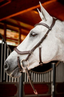 Horseware Rambo Micklem 2 Diamante Competition Trense Mit Zügeln -Weatherbeeta Shop 345015 DBR 02