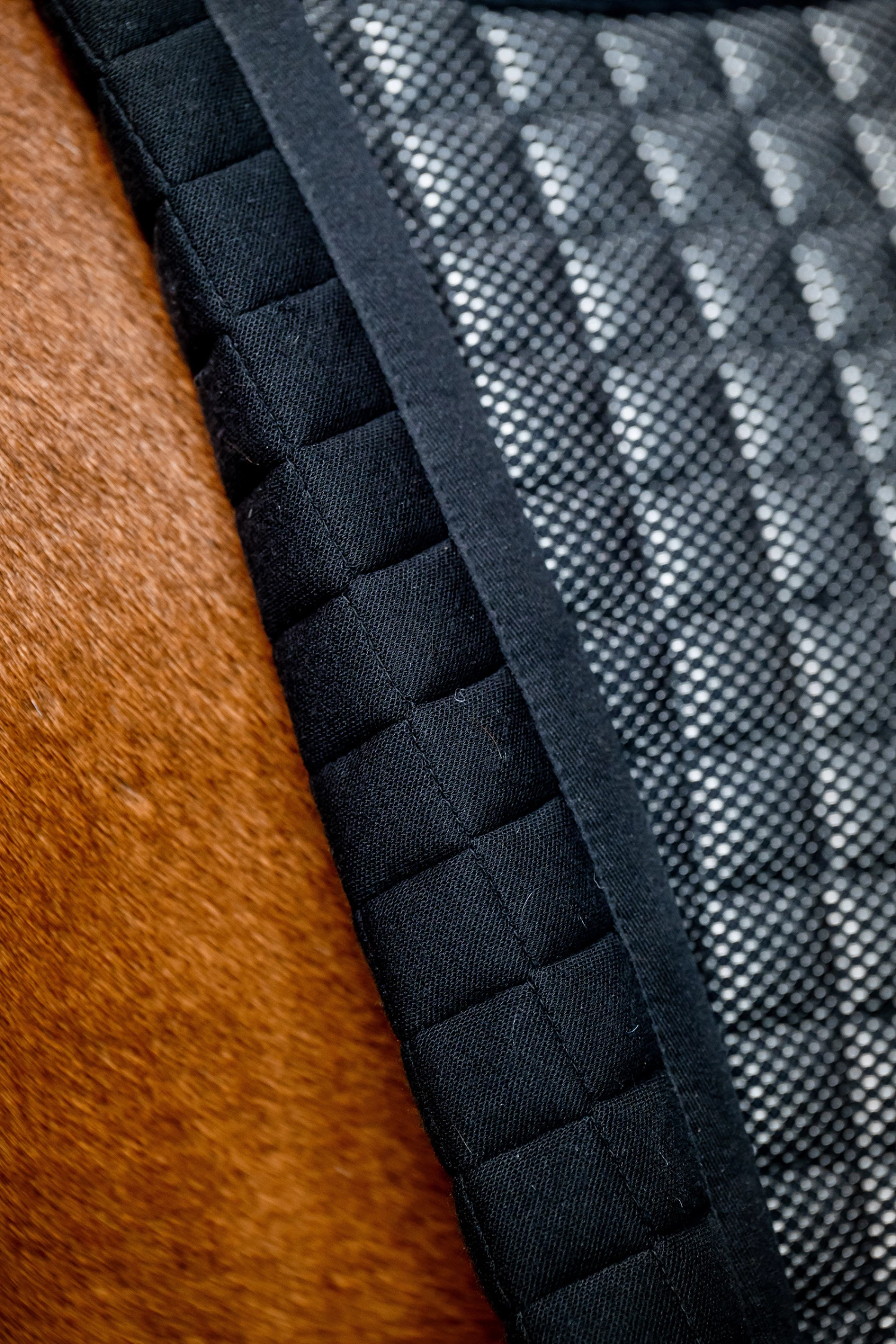 Horseware Tech Comfort Dressurschabracke 4 Horseware Tech Comfort Dressurschabracke – Bild 2