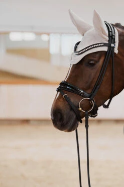 Eskadron Platinum 23 Mesh Fliegenhaube -Weatherbeeta Shop 345466 TBR 02