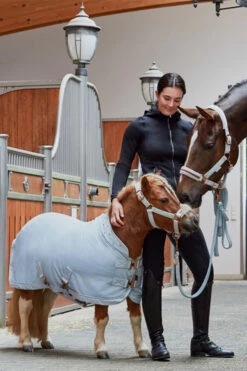 Eskadron Platinum 2023 Velvet Crystal Shetland Abschwitzdecke 9 Eskadron Platinum 2023 Velvet Crystal Shetland Abschwitzdecke -Weatherbeeta Shop 345484 PLB 02