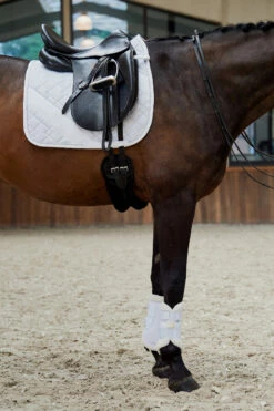 Eskadron Platinum Pure FS23 Glitter-Mesh Dressurschabracke -Weatherbeeta Shop 345510 WH 01