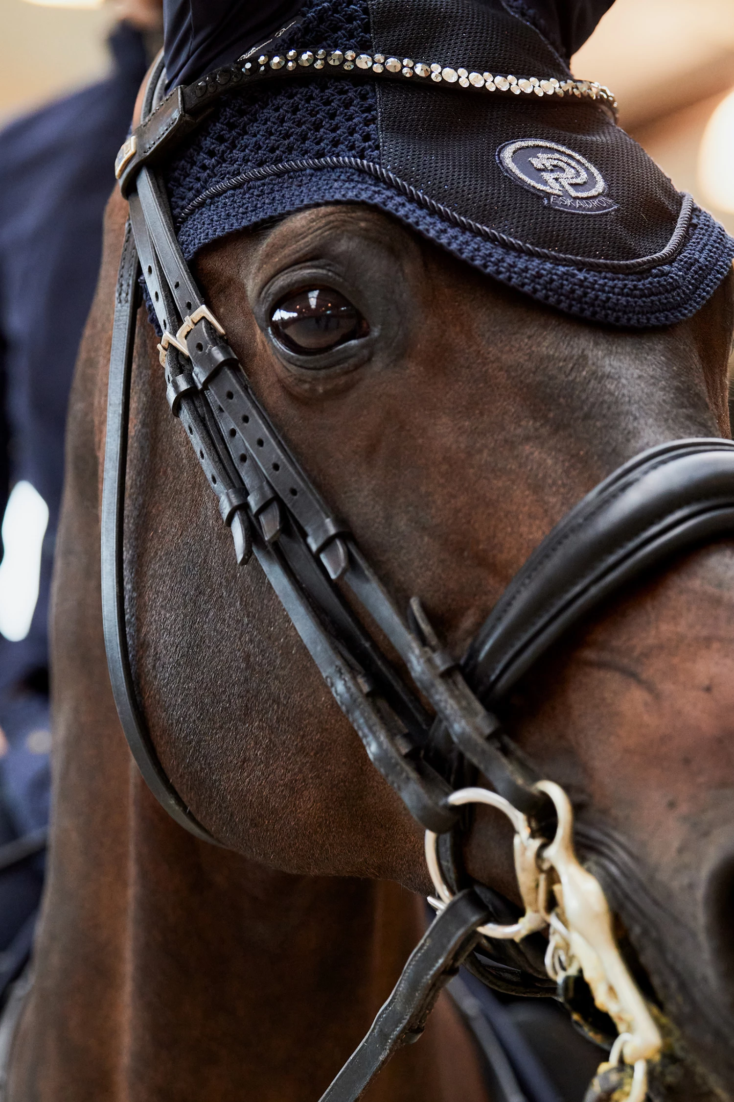 Eskadron Platinum Pure FS23 Glitter Mesh Fliegenhaube 5 Eskadron Platinum Pure FS23 Glitter Mesh Fliegenhaube – Bild 3