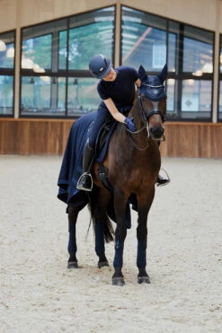 Eskadron Platinum Pure FS23 Glitter Mesh Fliegenhaube 11 Eskadron Platinum Pure FS23 Glitter Mesh Fliegenhaube -Weatherbeeta Shop 345512 DB 04