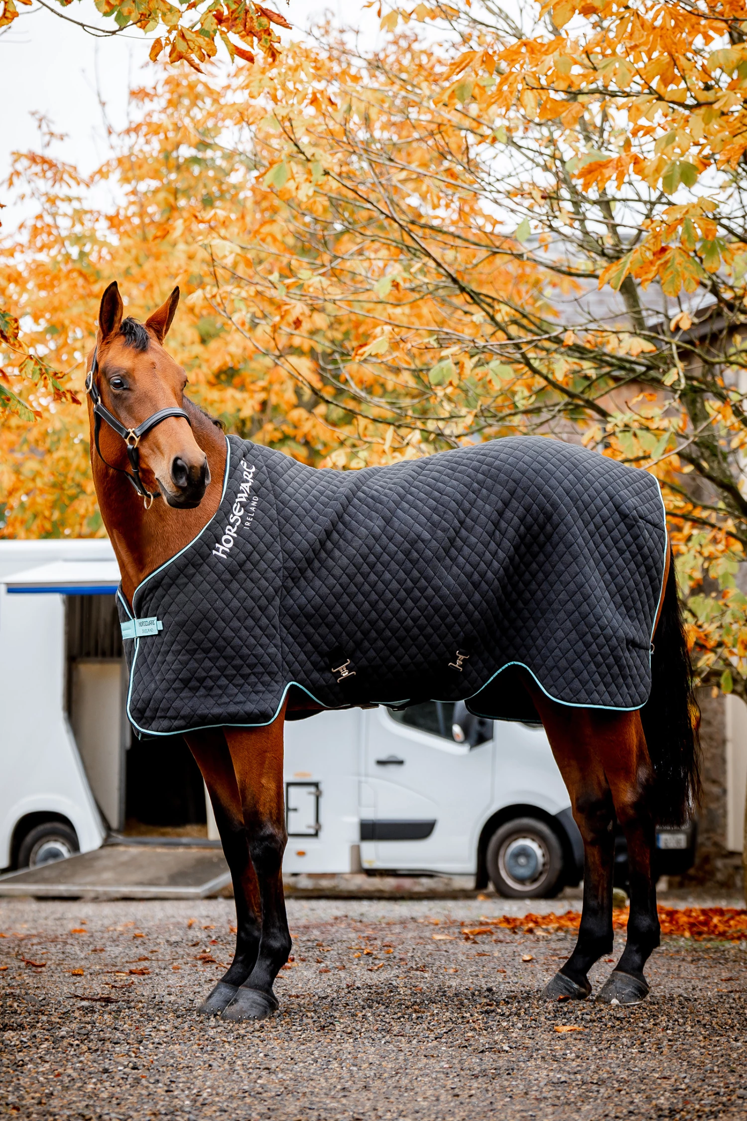 Horseware Autumn Cooler Abschwitzdecke 10 Horseware Autumn Cooler Abschwitzdecke – Bild 8