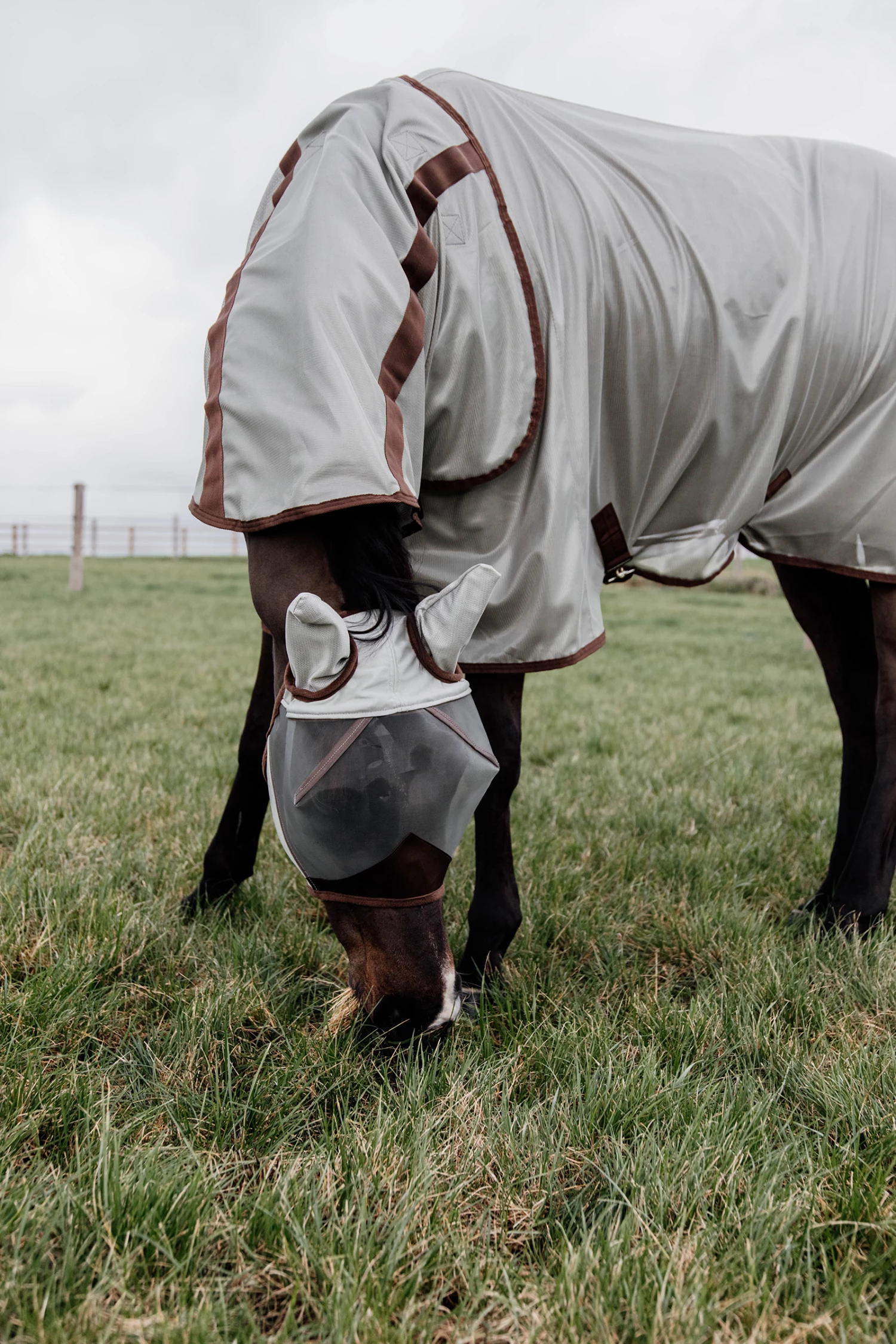 Kentucky Horsewear Classic Fliegendecke 4 Kentucky Horsewear Classic Fliegendecke – Bild 2