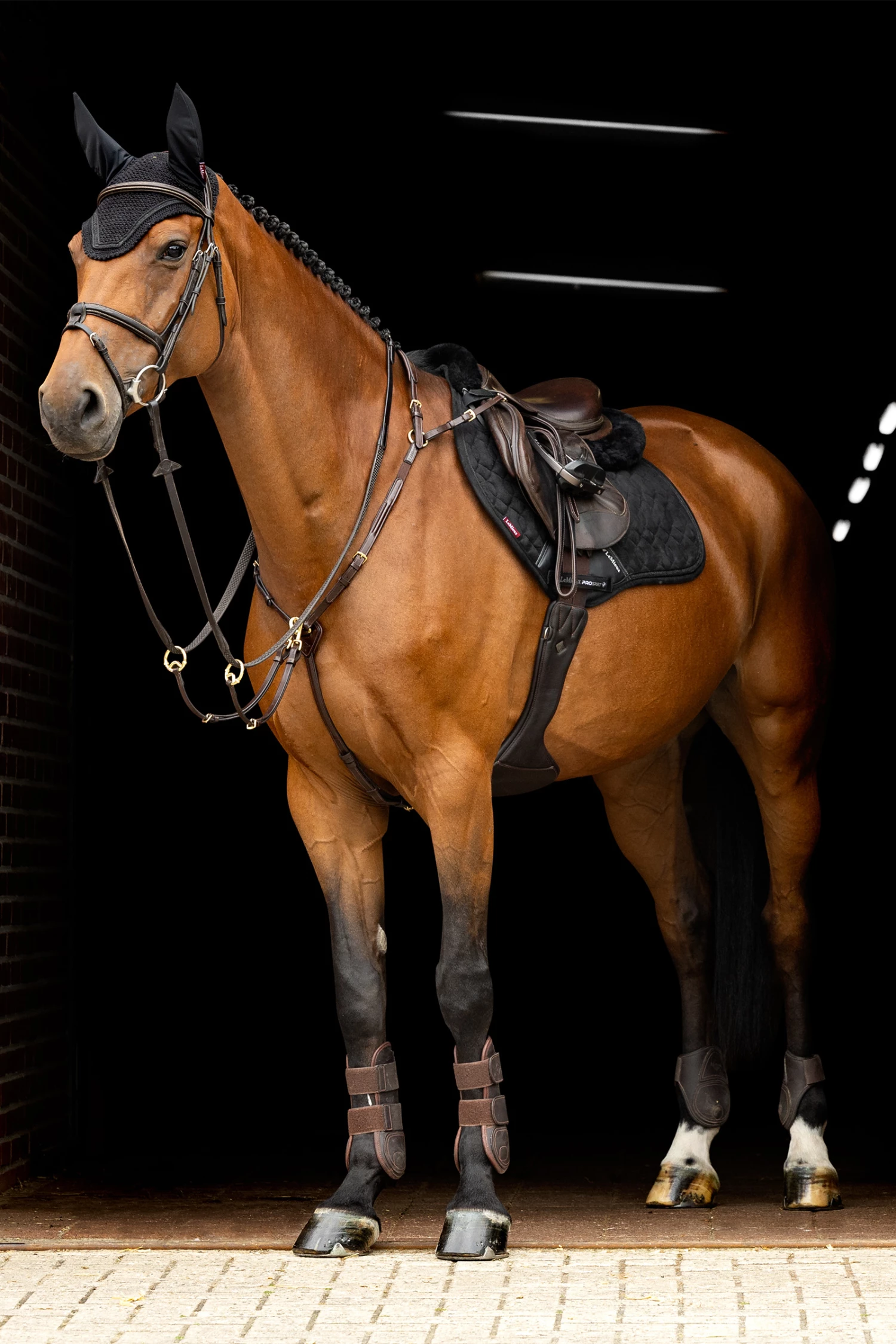 LeMieux Crystal Fliegenhaube 7 LeMieux Crystal Fliegenhaube – Bild 5