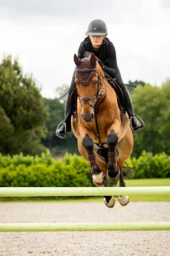 LeMieux Crystal Fliegenhaube 9 LeMieux Crystal Fliegenhaube -Weatherbeeta Shop Z1KR0 780 03